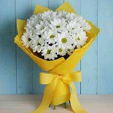 Букет цветов из:  Хризантемы в Бачатском