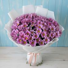 Букет цветов из:  Хризантемы в Бачатском