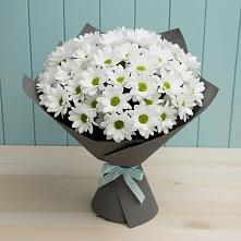 Букет цветов из:  Хризантемы #REPLACE_PRED# Бачатском