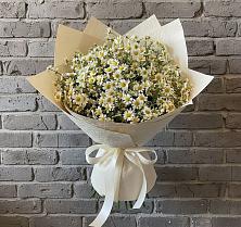 Букет цветов из:  Ромашки в Бачатском