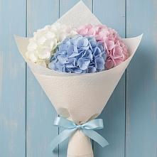 Букет цветов из:  Гортензия в Бачатском