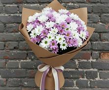 Букет цветов из:  Хризантемы в Бачатском