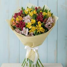 Букет цветов из:  Альстромерии в Бачатском