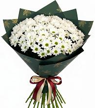 Букет цветов из:  Хризантемы в Бачатском