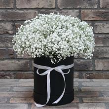 Цветочная композиция из Гипсофила в шляпной коробке в Бачатском