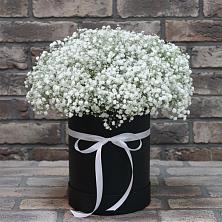 Цветочная композиция из Гипсофила в шляпной коробке в Бачатском