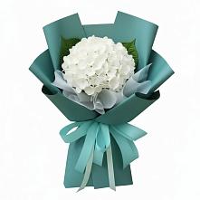 Букет цветов из:  Гортензия #REPLACE_PRED# Бачатском